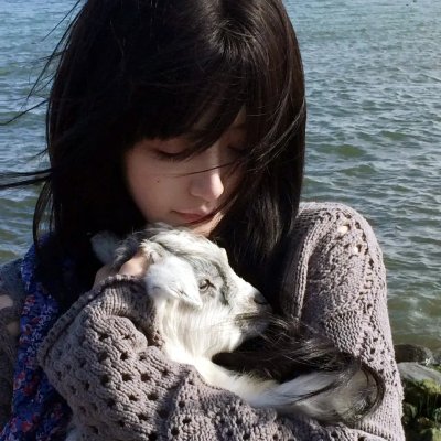 拳语者 海报